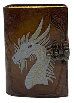 Dragon Aged Looking Paper leather w/ latch